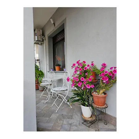 Bed & Breakfast The Dreamers Mxp Cardano Al Campo