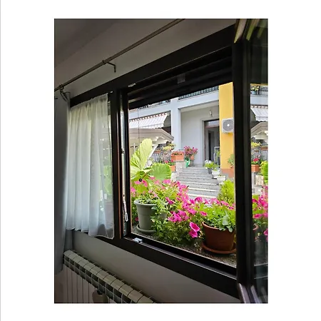 Bed & Breakfast The Dreamers Mxp